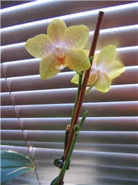7d6ee3da-Picture 048.jpg